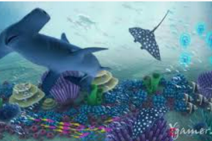 ayx大厅手机版电脑免费版